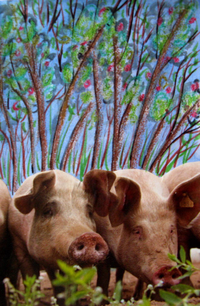 LinsArt A Bird, Two Pigs and Bird Pig