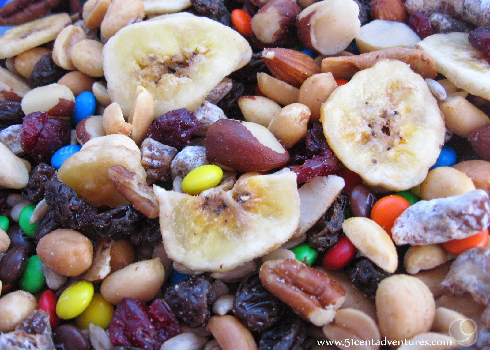 51 Cent Adventures Tent Camping for Beginners