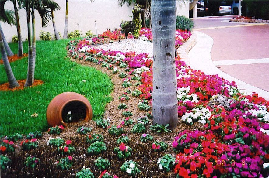 Tropical Landscaping Ideas - Landscaping Software ...