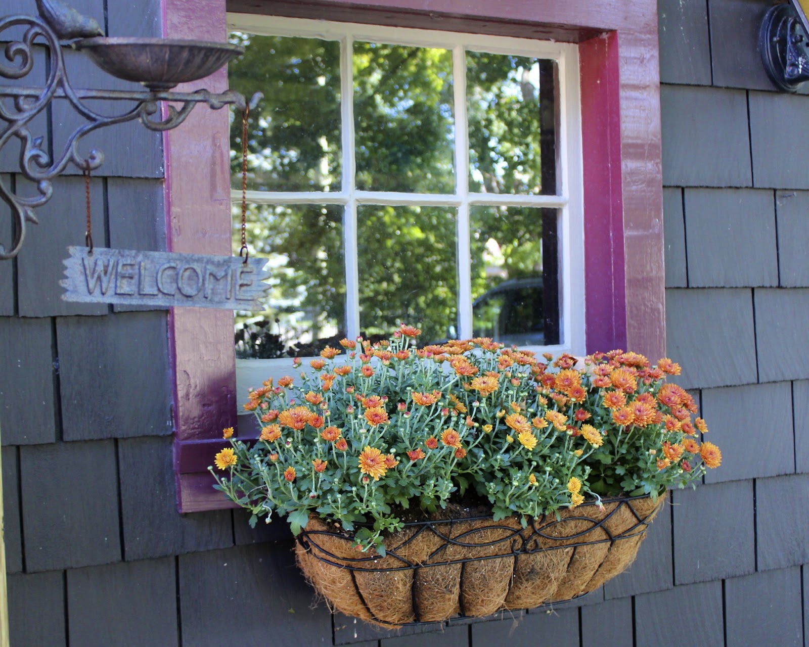 fall decorating ideas mums