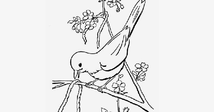 Birds coloring page | Free Coloring Pages and Coloring Books for Kids