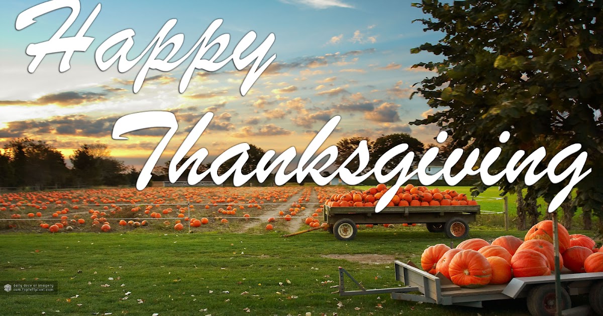 Restaurants open thanksgiving day in tampa