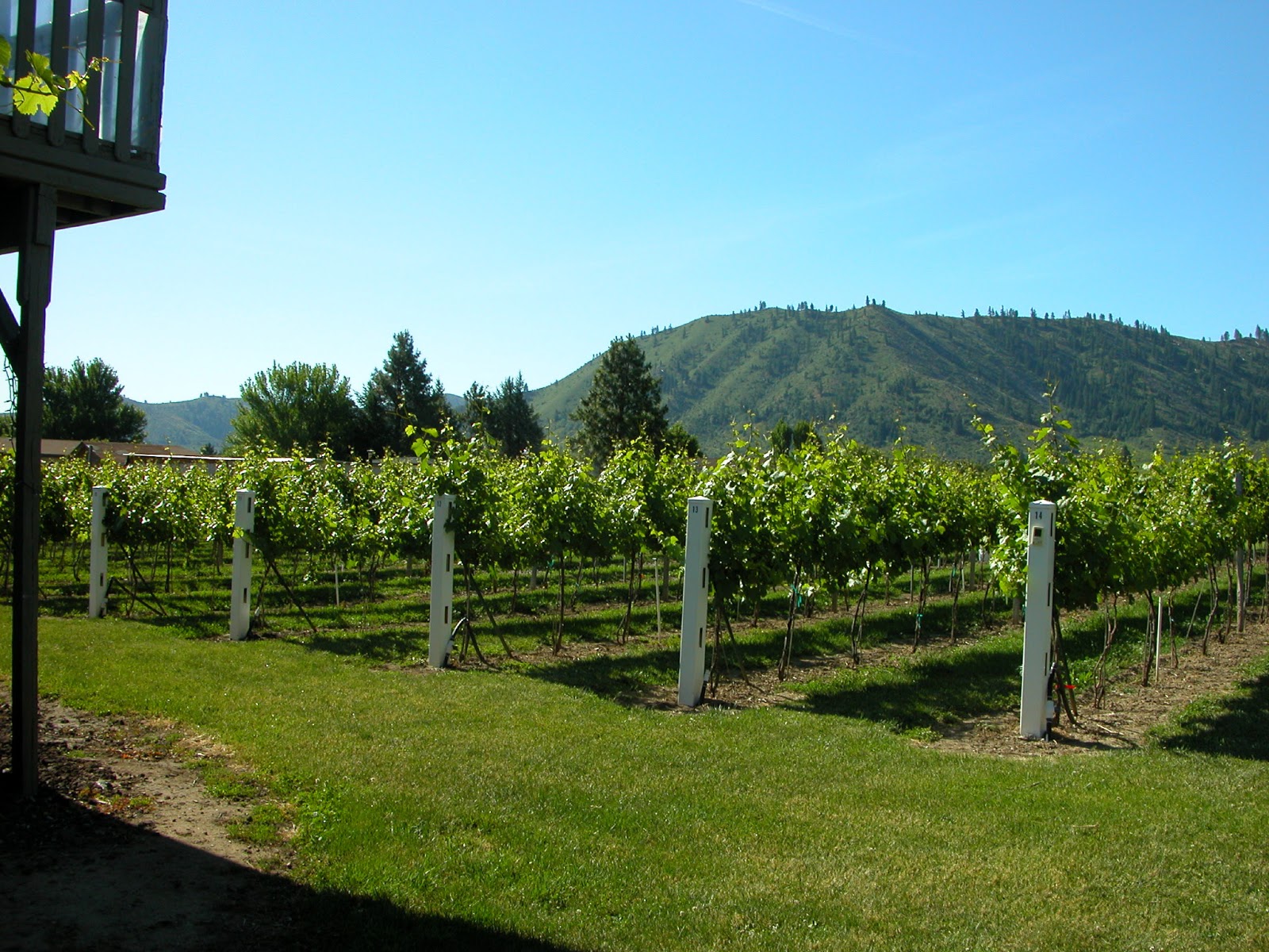 Washington State Road Trip Cashmere Washington