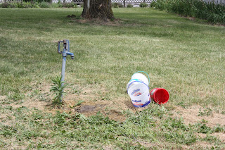 Farming in Flip Flops - hydrant and buckets