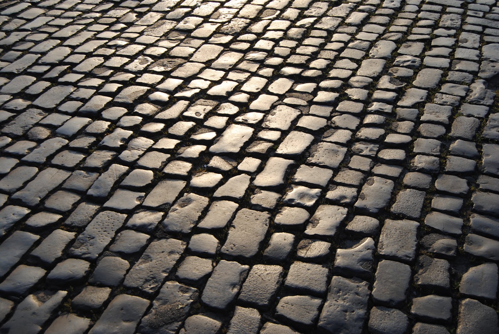 Orbis Catholicus Secundus: Rome's Hallowed Cobblestones