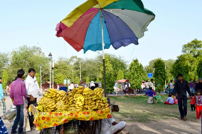 banana Prog at Ram Bagh Jaipur Prog