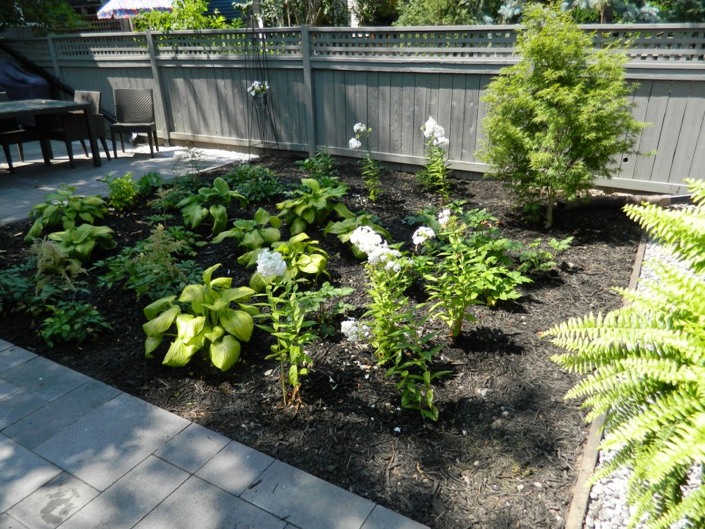 Greektown Toronto garden design after by Paul Jung Gardening Services Greektown Toronto garden design after by Paul Jung Gardening Services
