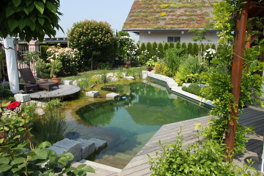 Blue Iris Pools Natural Swimming Pools now in India