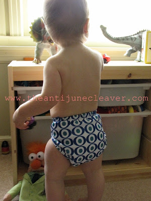 Sunbaby Cloth Diaper Review #clothdiapers