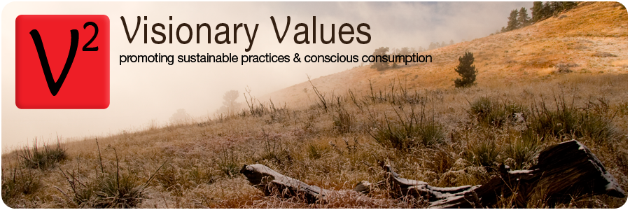 Visionary Values