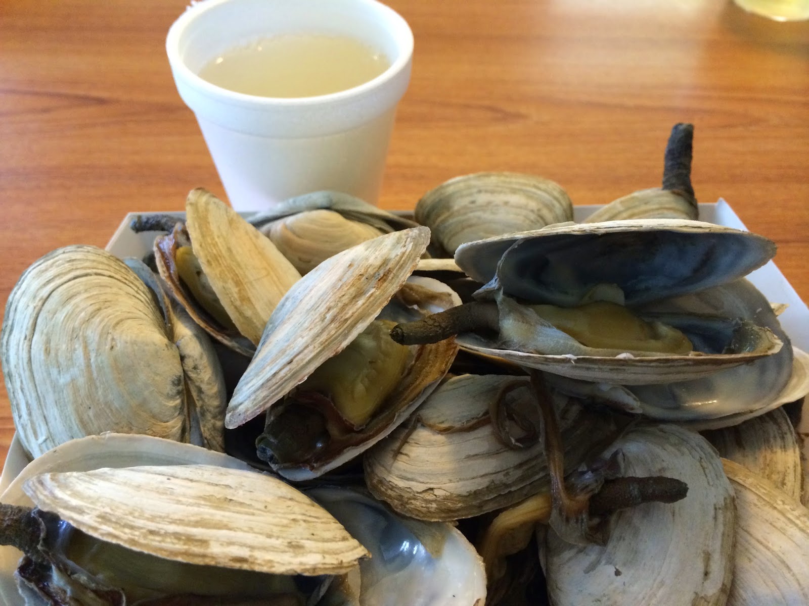 Travel Belly May 2014