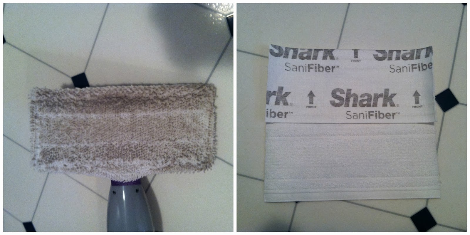 Sweet Cheeks Adventures Using the Steam to Clean Shark Steam