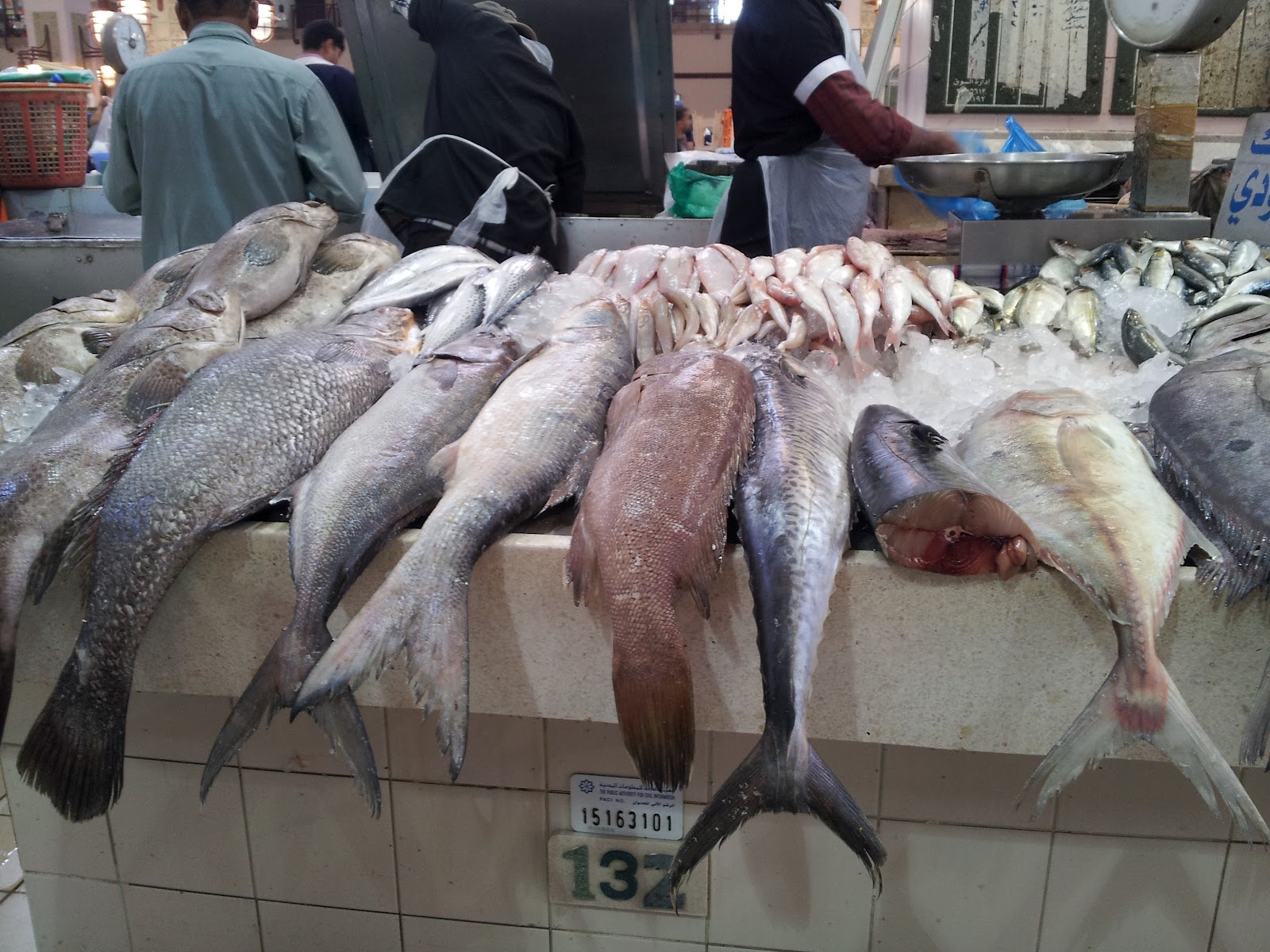 Pictures from Kuwait Sharq Fish Market