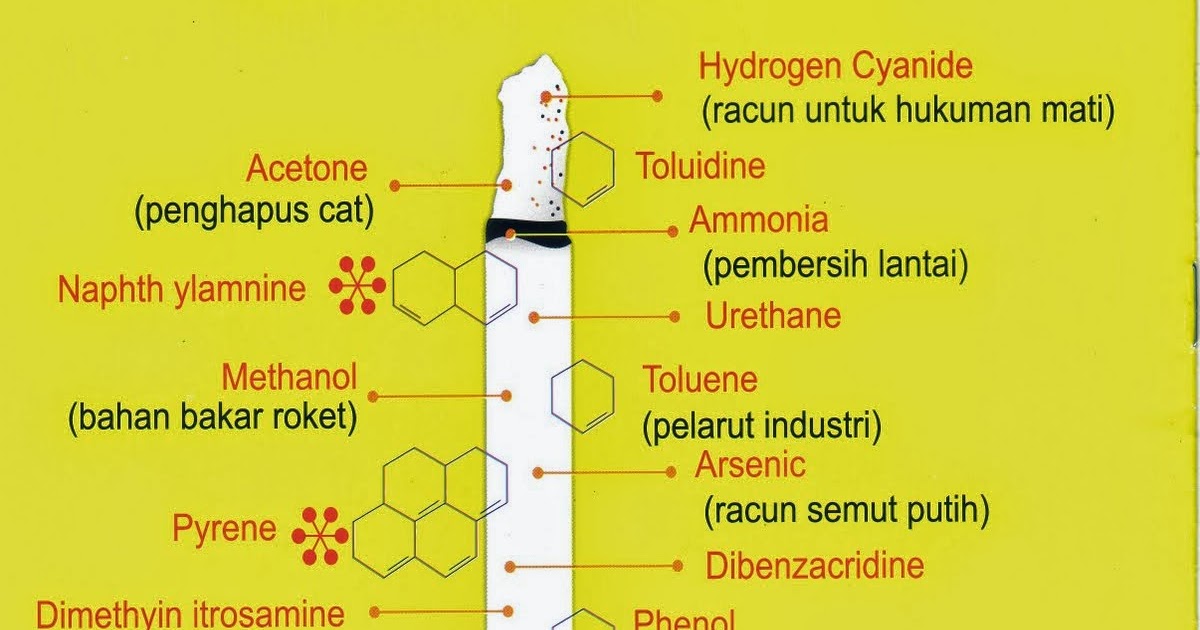 Bahaya Rokok Bagi Kesehatan Anda | Kesehatan Alami