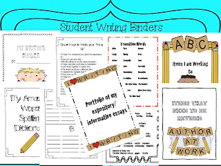 Visual Argument Essay Examples