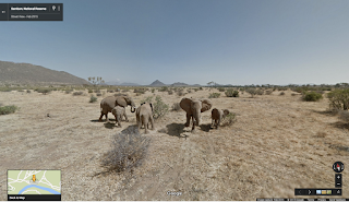 Walk alongside the elephants of the Samburu National Reserve in Street View