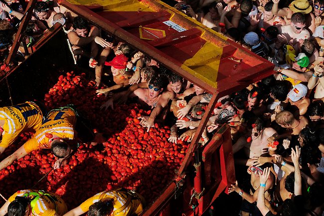 Tomatina Festival Pictures !