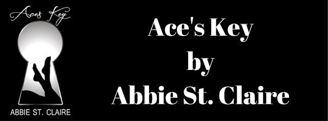 ace key copy