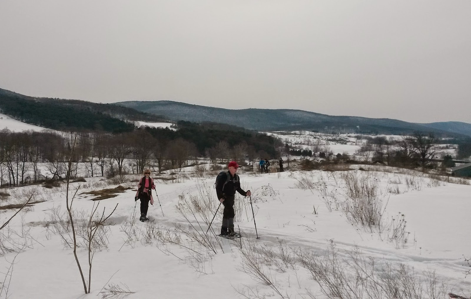 Berkshire Hiker Roeliff Jansen Park, Hillsdale, NY