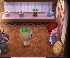 Animal crossing flower cheats