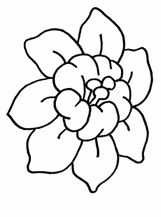 Download HD Flower Coloring Pictures HQ Posters Desktop High Resolution