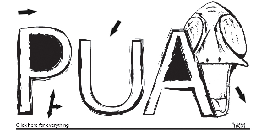 Púa