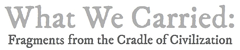 What We Carried: Fragments from the Cradle of Civilization