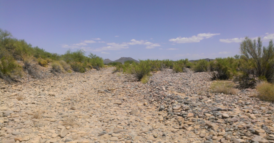 Fitness Gazette: why trail running is better than regular running