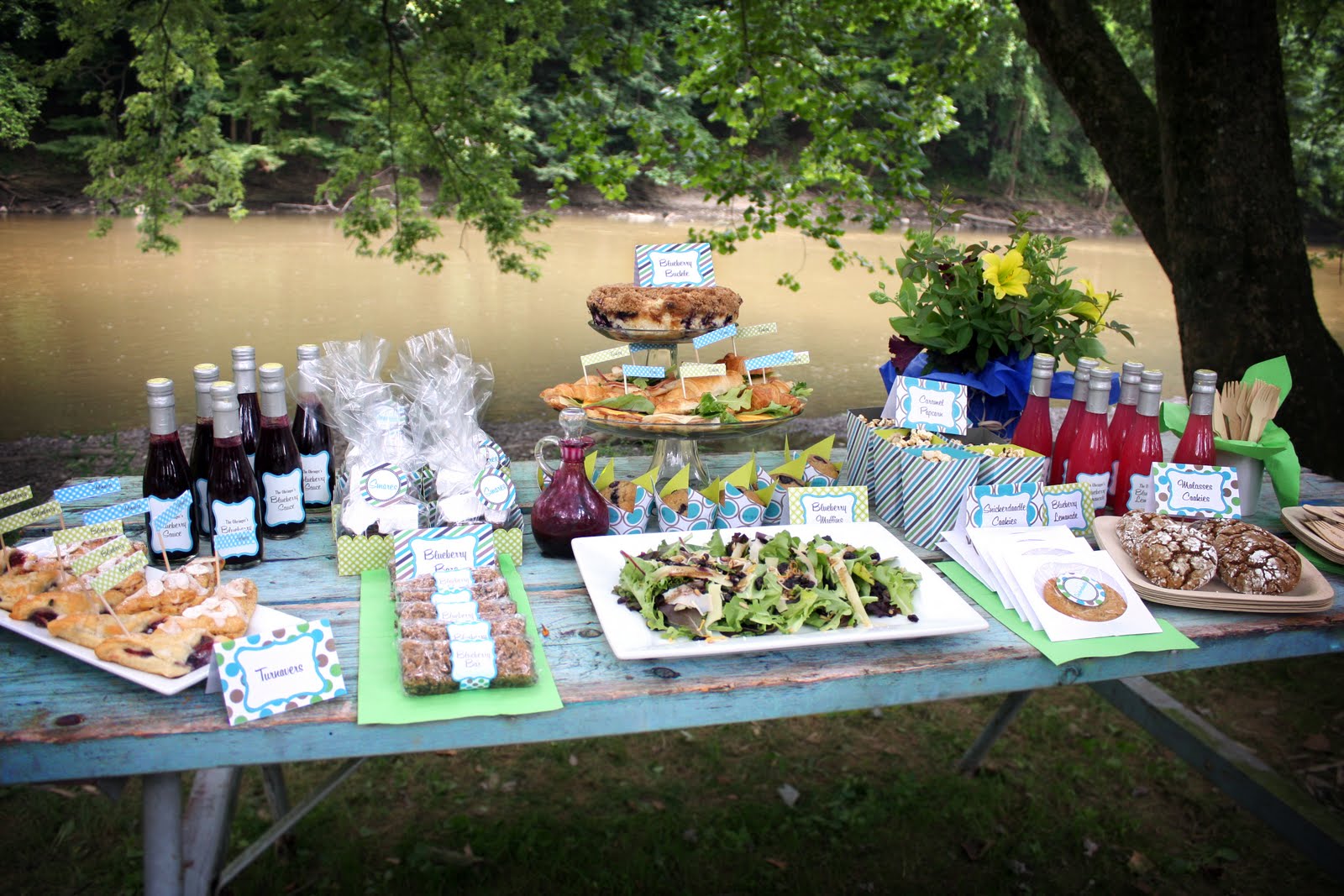 The Everyday Posh Posh Picnic Blueberry Picking Party