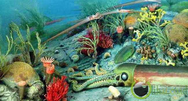 Kepunahan di Jaman Kambrium-Ordovisium Kepunahan di Jaman Kambrium-Ordovisium