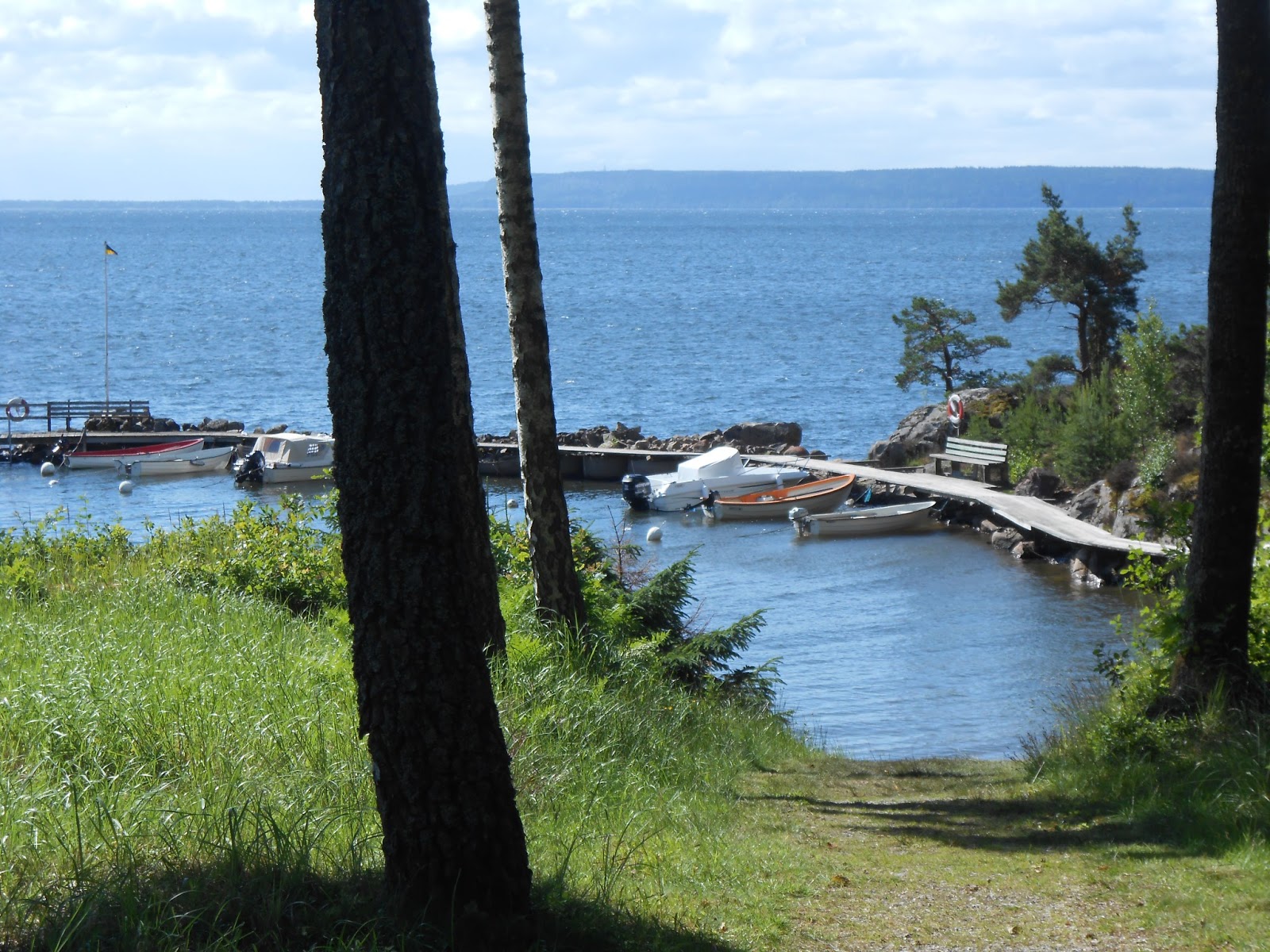Det nya huset: juni 2013