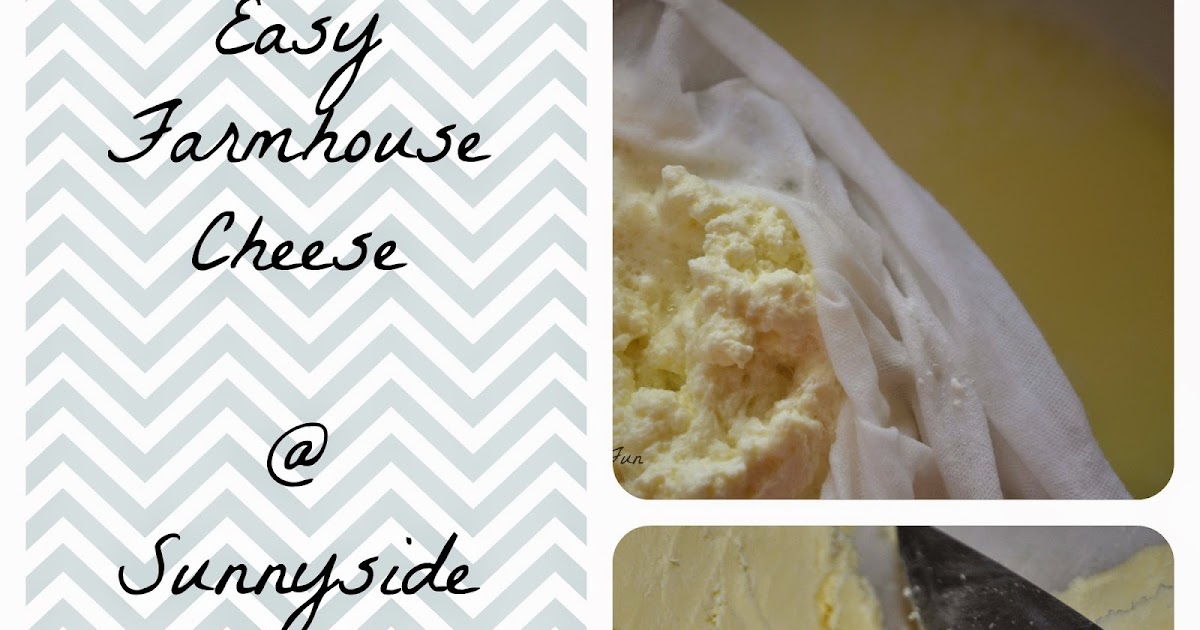 Sunnyside Farm Fun Easy Farmhouse Cheese