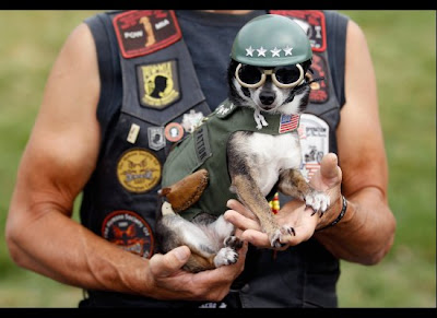 Sarah Palin Rolling Thunder Motorcycle