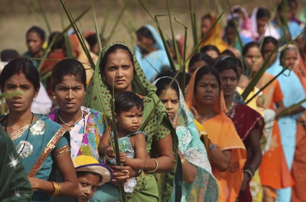 Palm India