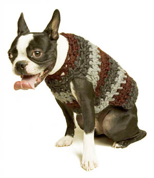 knitting charts, knitting dog sweater, knitting patterns pets