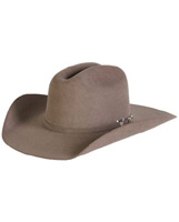 resistol black gold 20x beaver