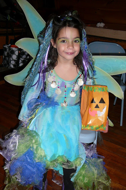 Mermaid Fairy Princess