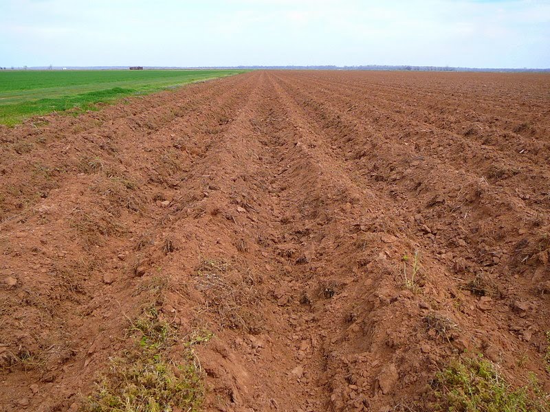 Crop Stubble
