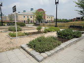 Our Stadium Armory Community Garden