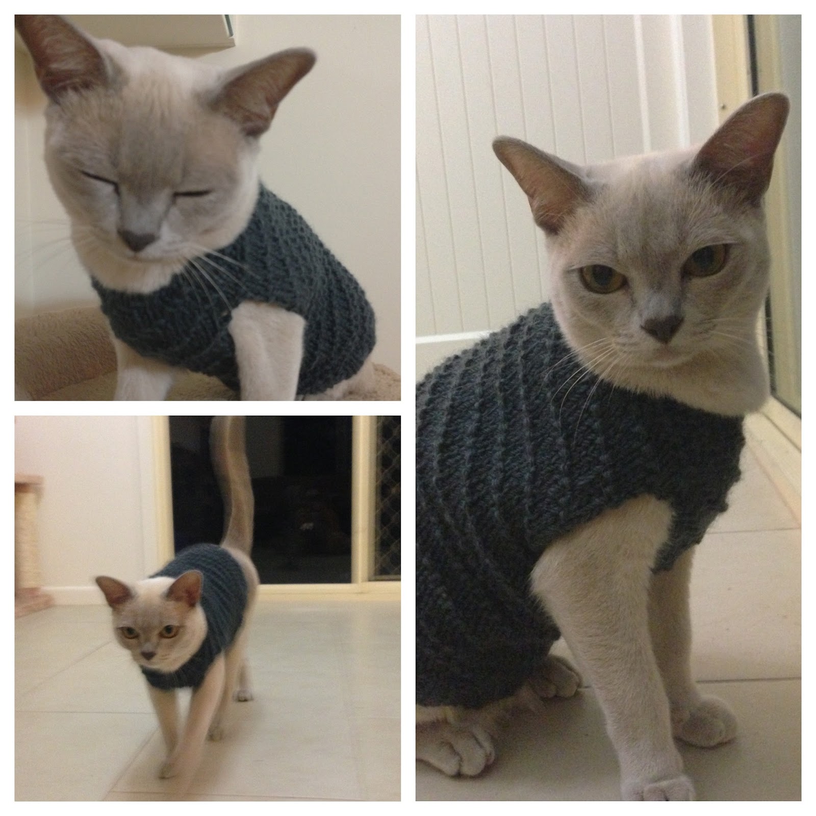 A Flood of Stitches: Crazy knitting projects - The cat jumper