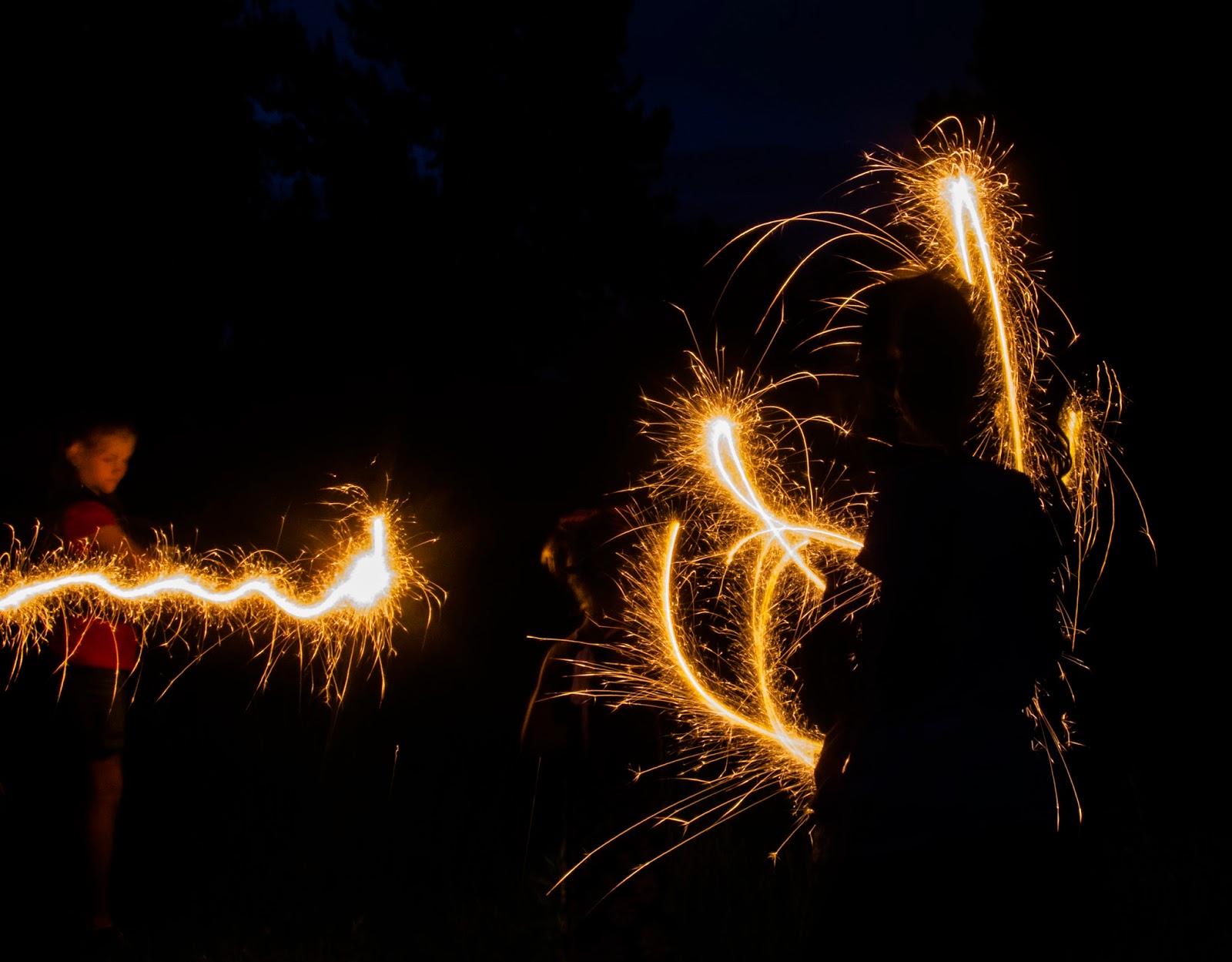 Breanna's Birding Blog Light Paintings with Sparklers July 3, 2015