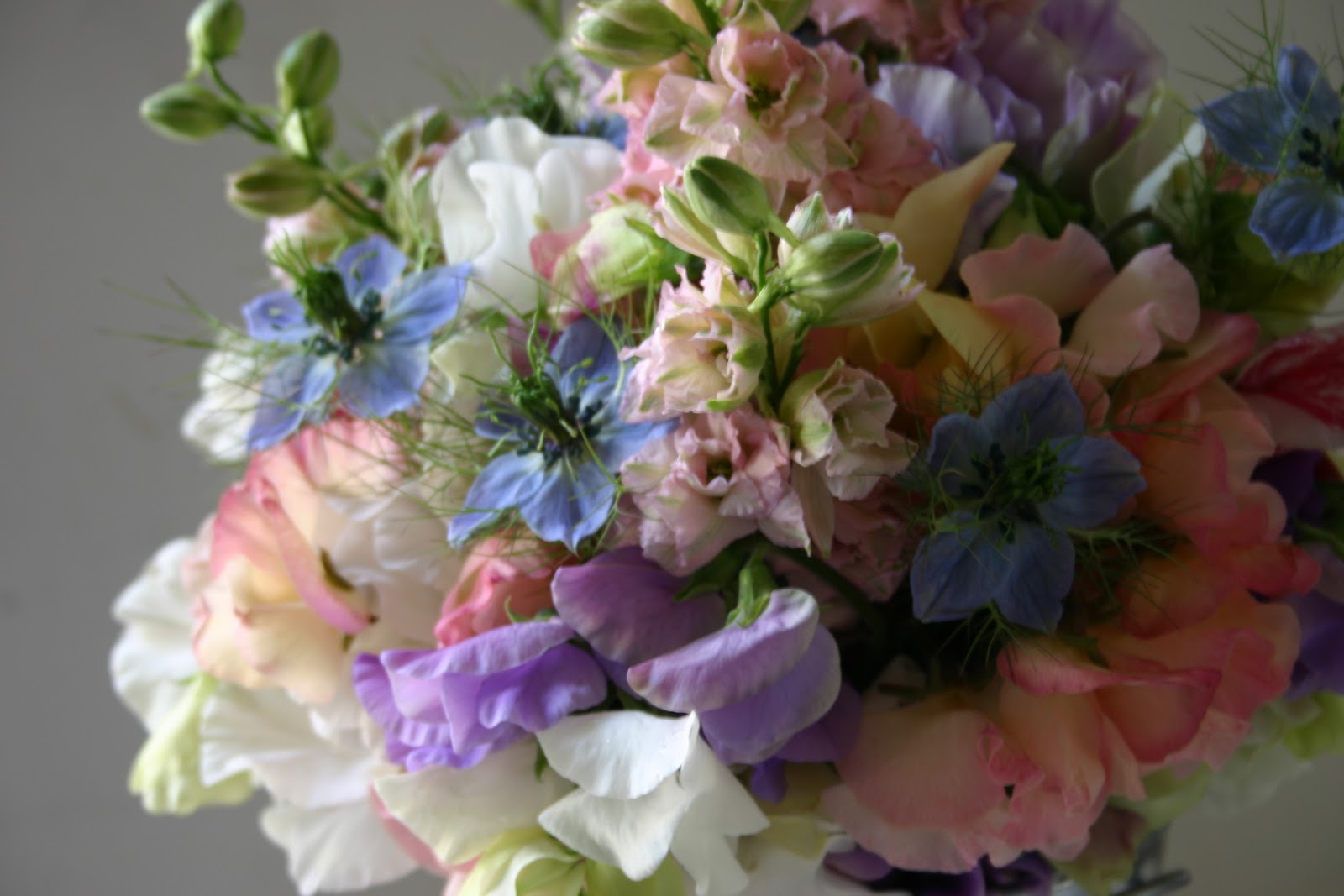 12 days of Christmas... Common Farm Flowers The Flower Farmer