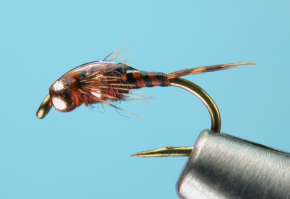 Bit Fly