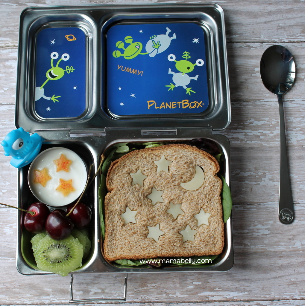 Planetbox Stainless Steel Lunch Box With Bag Lunchbox Planet