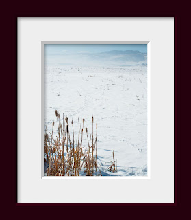 wide open snow covered prairie with a stand of winter cattails and a view of distant mountains