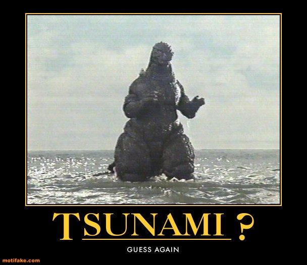 then there was the tsunami