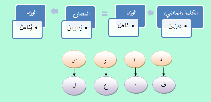 العربية عدد حروف اللغة الحروف الابجدية