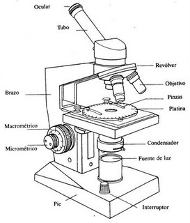 Microscopio Simple