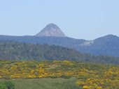 Le Mont Gerbier de Jonc