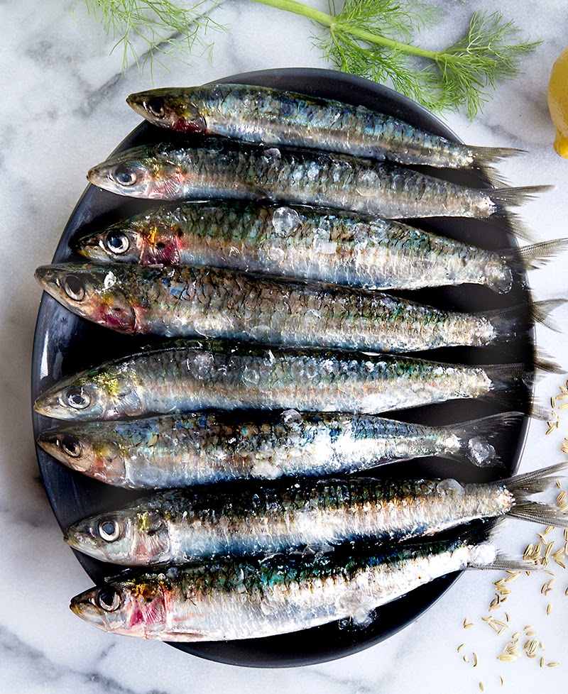 do sardines have bones